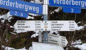 Percorso A piedi Bad Peterstal-Griesbach - Bad Peterstal - Mooskopf - Photo 4