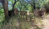 Trail Walking Collobrières - SityTrail - Collobriéres - Menhirs de Lambert - Photo 20