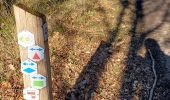 Trail Walking Maasmechelen - reserve naturel hoge kempen - Photo 2