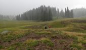 Trail On foot Unknown - Circuitul Cetăților Rădesei - Photo 1