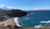Trail Walking Argelès-sur-Mer - argeles - collioure / retour par la mer  - Photo 13