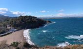 Tocht Stappen Argelès-sur-Mer - argeles - collioure / retour par la mer  - Photo 13