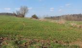 Trail Walking Court-Saint-Étienne - en passant par le moulin... - Photo 6
