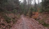 Trail Walking Verviers - mariomont - la gileppe aller via 