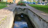 Randonnée Marche Châteaudun - Châteaudun - Marboué - Photo 8