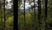 Tour Wandern Viroinval - De Nismes à Petigny par le Tienne du Lion - Photo 3