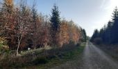 Trail Walking Malmedy - ligneuville - ondeval  aller retour  - Photo 15