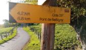 Trail Walking Balbigny - rando au départ de Balbigny, viaduc Chessieu, St Georges de Barolles, les Sigauds, Grenieux, Nervieux, Pont de Balbigny - Photo 2