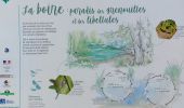 Trail Walking Monétay-sur-Allier - la boire de Monetay + l Trail Walking Monétay-sur-Allier - la boire de Monetay + l