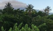 Randonnée Marche Le Lorrain - Mornes Capot / Lorrain Martinique - Photo 3