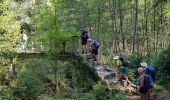 Randonnée Marche Levie - levie  a Serra di Scopemene et Santa Luccia di Tallamo - Photo 18