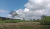 Trail Walking Waimes - petit tour en Brackvenn  - Photo 2