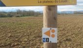 Trail Walking Ger - balisage 11 - Photo 6