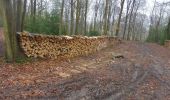 Tour Wandern Saint-Aubin-Épinay - 20210316-Epinay - Photo 7