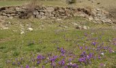 Tocht Stappen Champoléon - 05 - MEOLLION Champsaur - Photo 2