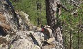 Trail Walking Asco - cascade de pietrella - Photo 2