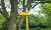 Trail Walking Gedinne - Vencimont 050624 - Photo 16