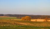 Excursión Senderismo Retheuil - en forêt de Retz_76_dans les forêts de Retz et de Compiègne - Photo 13