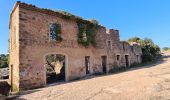 Randonnée Marche Vidauban - Vidauban - Cascades de l'Aille - Photo 18