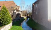 Percorso Bici da strada Rohrbach-lès-Bitche - Sortie Ã  vÃ©lo matinale - Photo 1