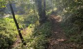 Trail Walking Huy - Huy Marche - Photo 5