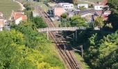 Percorso Marcia Reims - RP51-01 Reims à Les Haies - Photo 4