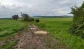 Trail Walking Gaillon-sur-Montcient - En passant par Dalibray - Photo 3