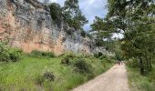 Excursión Senderismo Mérindol - PF-Puget - Autour du Vallon du Dégoutau - 03.06.2021 - Photo 1