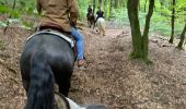 Trail Horseback riding Bastogne - Livarchamps - Surre (LU) 29 août 2021 - Photo 4