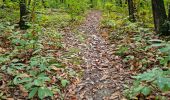 Trail Walking Vendôme - Petit parcours dans la partie Sud-est du Bois de l'Oratoire - Photo 9