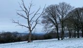 Trail Walking Durbuy - Pierre Shaina - Photo 8