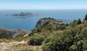 Trail Walking Marseille - Marseilleveyre-sommet-1105-22 - Photo 12