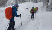 Trail Touring skiing Saint-Christophe-sur-Guiers - la morte - Photo 18