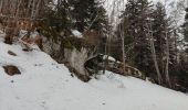 Excursión Raquetas de nieve Lans-en-Vercors - Vallon de la Ramée - Photo 13