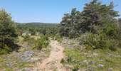 Tour Wandern Saint-Pierre-des-Tripiers - Les arcs de St Pierre  - Photo 8