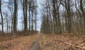 Trail Walking Compiègne - Compiegne rond point de l’Armistice 13,4 km - Photo 2