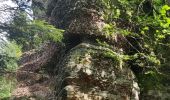 Randonnée Marche Allarmont - 2019-06-08 Marche Allarmont et ses rochers - Photo 5