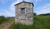 Trail Walking Courmes - Courmes, Plateau de St Barnabé, le Champ des Idoles - Photo 4