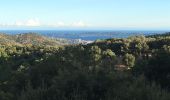 Trail Walking Sainte-Maxime - Le col  - Photo 1