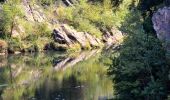 Tocht Stappen Les Arcs-sur-Argens - Trace_Les_Arcs - Photo 20