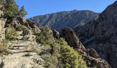 Trail Walking Corscia - Corscia par l’ancienne Scala, retour par les gorges de la Ruda - Photo 5