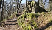 Tour Zu Fuß Alzenau - Kulturweg Alzenau 2 - Photo 1