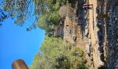 Tour Wandern Le Castellet - Les Barres du plan de Castellet - Photo 8