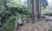 Tocht Stappen Durbuy - aisne . pont le prêtre  . villers sainte gertrude  - Photo 7