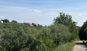 Trail  Saint-Privat - Grand mont Soumont Le Bosc  - Photo 3