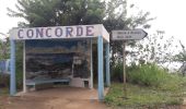 Excursión Senderismo La Trinité - Cosmy - Bois Jadé - Merveilleux en boucle  - Photo 9