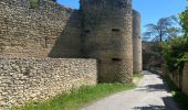 Tocht Stappen Cabrières-d'Avignon - Cabrières d’Avignon mur de la peste  - Photo 1