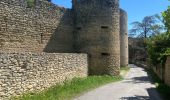 Excursión Senderismo Cabrières-d'Avignon - Cabrières d’Avignon mur de la peste  - Photo 1