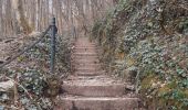 Trail Walking Durbuy - trek GR57 étape 5 : Bomal-sur-Ourthe - Weris - Photo 11