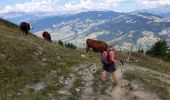 Trail Walking Manigod - ARAVIS: POINTE D'ORSIERE VARIANTE - Photo 4